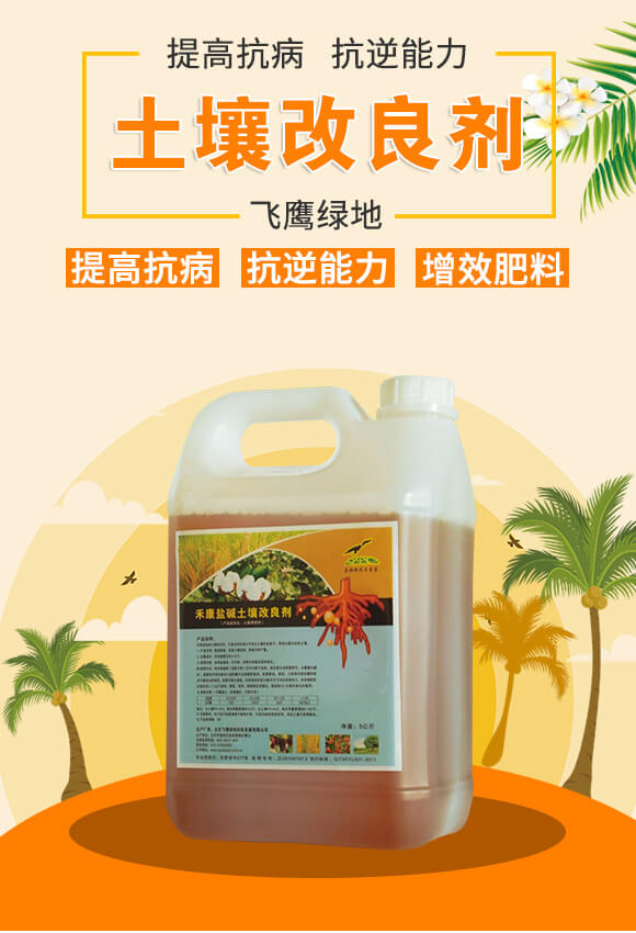 �̿��}�A����������-�w���G��_01