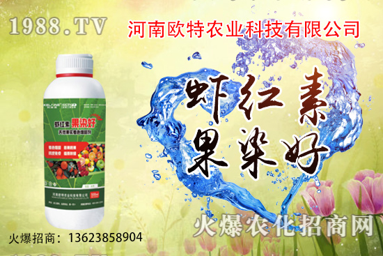 草莓苗品種如何選擇,怎么提高草莓苗種植成活率?