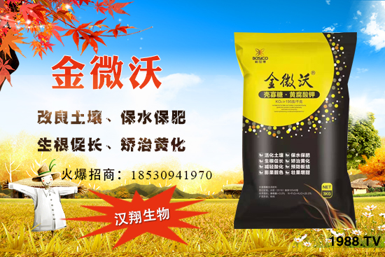 家中庭院可以種葡萄嗎？葡萄什么時候種？怎么種植？