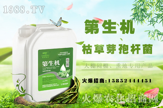 豆角只長蔓不開花啥原因?如何促花促莢提產(chǎn)量?