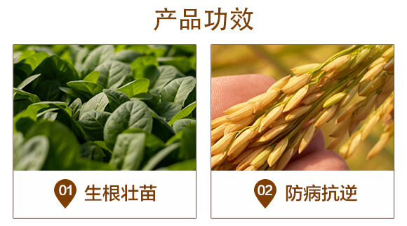 ����t�-��(f��)��΢�������-�A�I_04