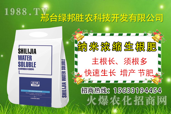 番茄死棵究竟哪些原因所致，如何預防番茄死棵發(fā)生？