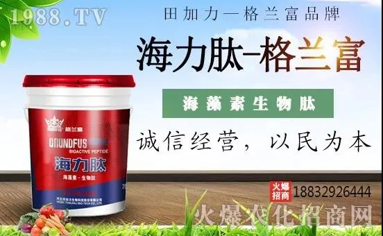 ������-���m��