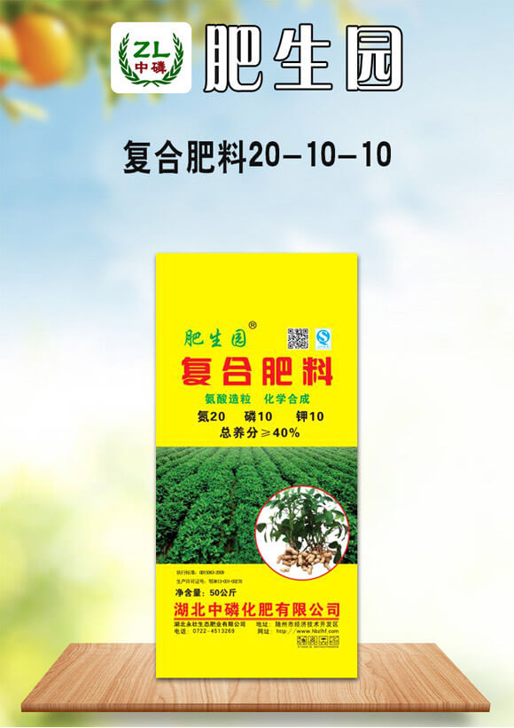 �ͺϷ���20-10-10-�����@-���׻���_01