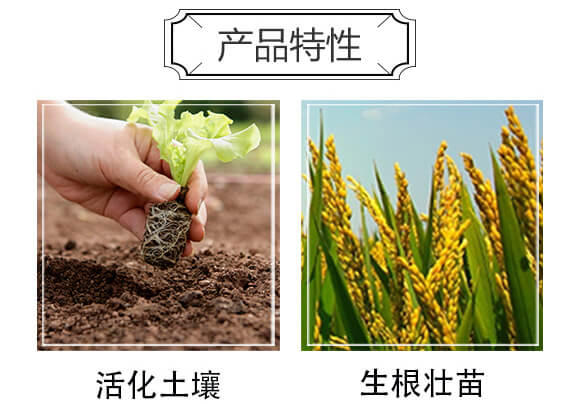 ���ɺ��塤�ЙC(j��)����-ِ����_04