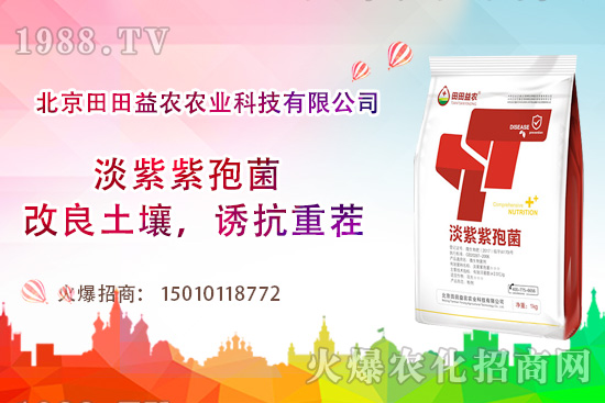 西紅柿需肥特點(diǎn)有哪些，西紅柿夏季如何管理？
