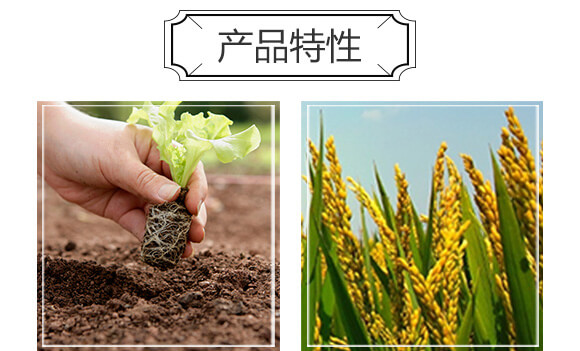 ΢�������-ِ����_(k��i)04