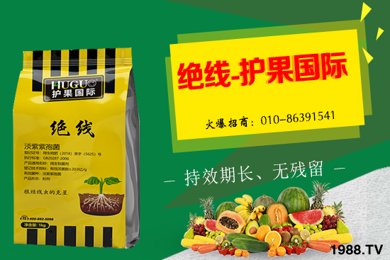 棉花為什么要打頂呢？有哪些好處？棉花打頂田間管理建議！