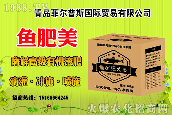 ���׽Y(ji��)������ɶԭ�����з��a(b��)�Ȇ᣿���׽Y(ji��)���������ƴ�ʩ��