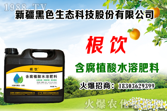 立秋后露地大白菜播種時(shí)間，管理需注意什么問(wèn)題？