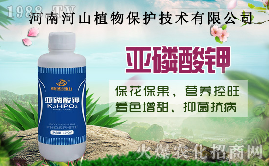 小麥政策加碼！扎堆賣糧！2020年8月14日小麥價格行情！