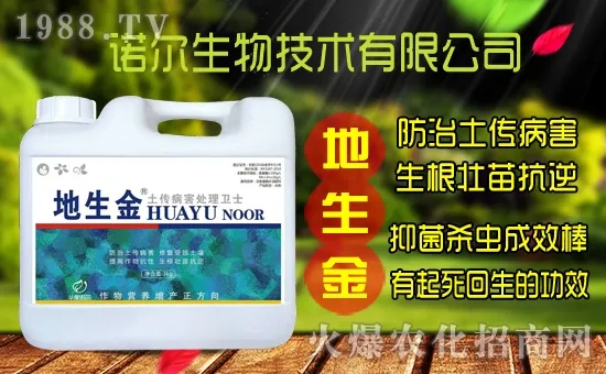 �S���˷N����ô�ɼ����S���˷N��r������Xһ�ꣿ