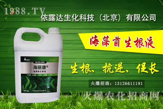 獼猴桃有哪些品種，獼猴桃和奇異果有什么區(qū)別？