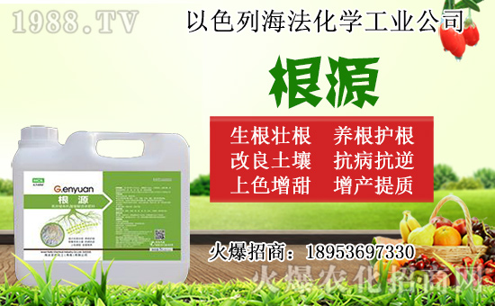 無(wú)花果怎么扦插？無(wú)花果扦插時(shí)間及扦插繁殖方法！