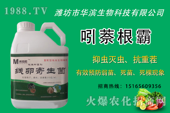 無花果種植什么品種較好？無花果皮可以吃嗎？種植前景怎樣？