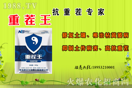 ɽ��ʲô����(ji��)������ɽ�����Ҫ�a(ch��n)���������ôʳ����