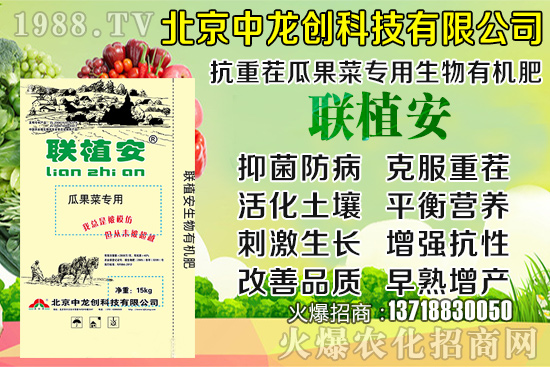 2020-8-20小麥?zhǔn)召弮r(jià)多少錢一斤？小麥價(jià)格行情如何？