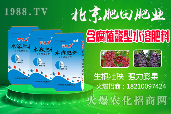 蘆柑產(chǎn)地在哪？蘆柑什么時(shí)候上市？如何挑選蘆柑？