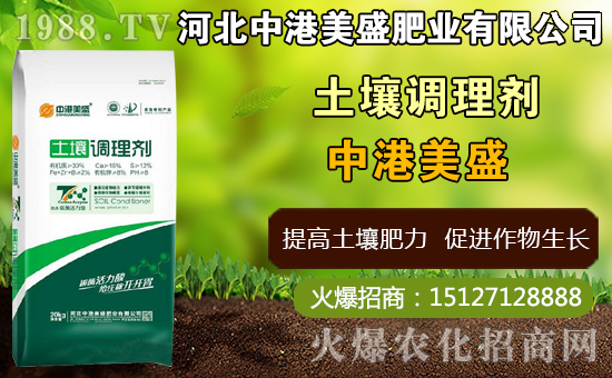 中藥太子參什么時間種植，太子參什么時候收獲更好（附種植技術(shù)）