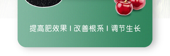 �VԴ�S�����-��ʩؐ��-��ʩ��_03