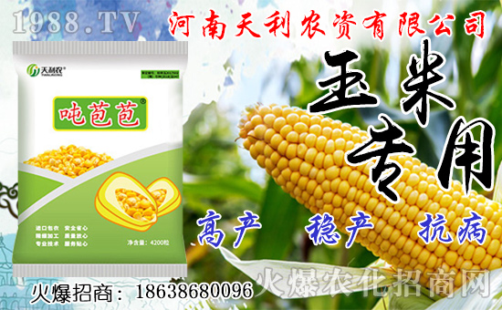 種人參果到底掙不掙錢？種植前景如何？人參果種子怎么種？