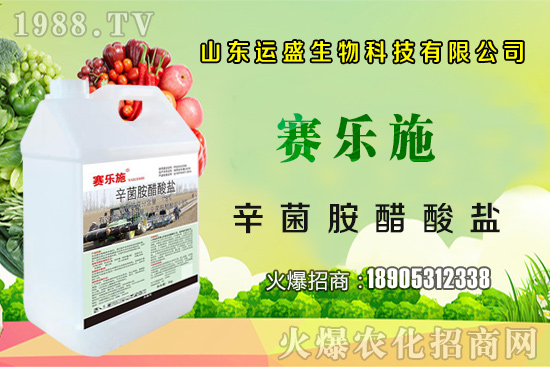 大棚杏樹的授粉方法，大棚杏樹如何多坐果？