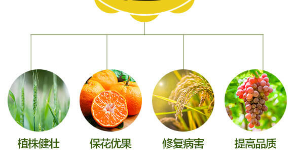 糖醇鋅-英爾果_05