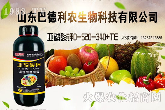 小麥價格能漲到多少錢一斤？部分地區(qū)價格行情！