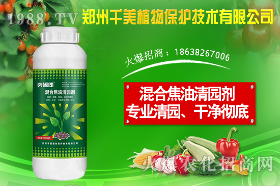 ���X(qi��n)�ݷN����ô�N�����X(qi��n)�ݷNֲ������B��