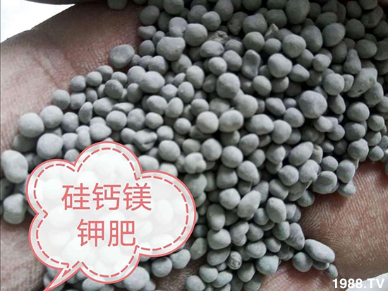 ���}�V⛷�