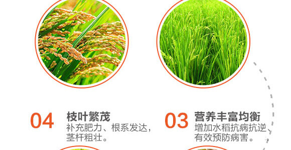 �w������-��ϲ-Ӣ����_04