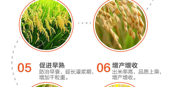 �w������-��ϲ-Ӣ����_05