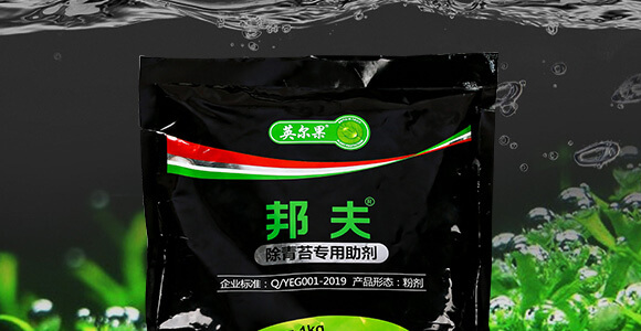 ����̦��������-���-Ӣ����_02