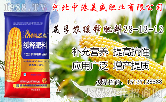 �O���������������ô�������O�������ڼ���ժ�������