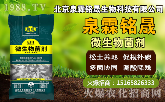 â��ʲô�r�g�Nֲ��â���Nֲ��������ˮ�r����