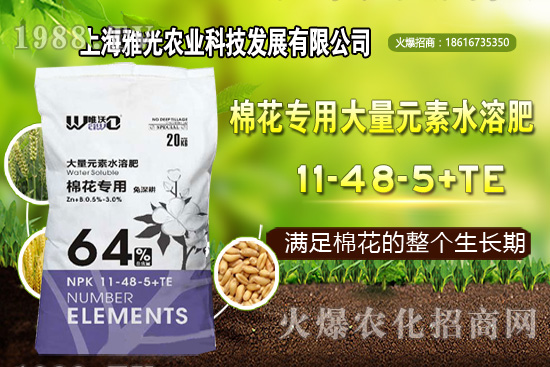 甜椒什么時(shí)候種植，甜椒栽培技術(shù)要點(diǎn)！