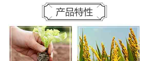 ���S���ЙC�o�C���B(t��i)�ʣ����ߌ��ã�-�и���ʢ_04