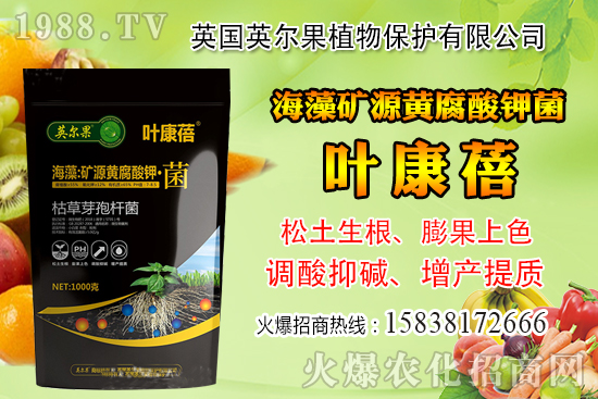 怎么判斷玉米含水量？玉米籽粒含水量感官判定經(jīng)驗！