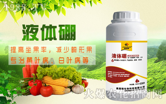 棉花缺硼危害究竟有多大，棉花缺硼癥狀及硼肥施用技術(shù)！