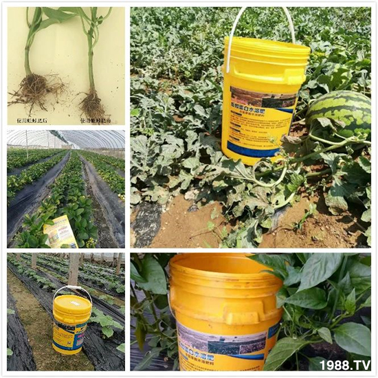 水溶肥市場(chǎng)大變革??？海藻精、魚蛋白將被它代替！1000多用戶鼎力推薦！