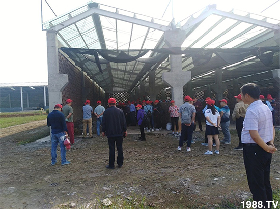 水溶肥市場(chǎng)大變革?。亢Ｔ寰?、魚蛋白將被它代替！1000多用戶鼎力推薦！