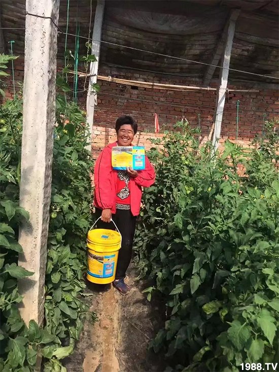 水溶肥市場(chǎng)大變革??？海藻精、魚蛋白將被它代替！1000多用戶鼎力推薦！