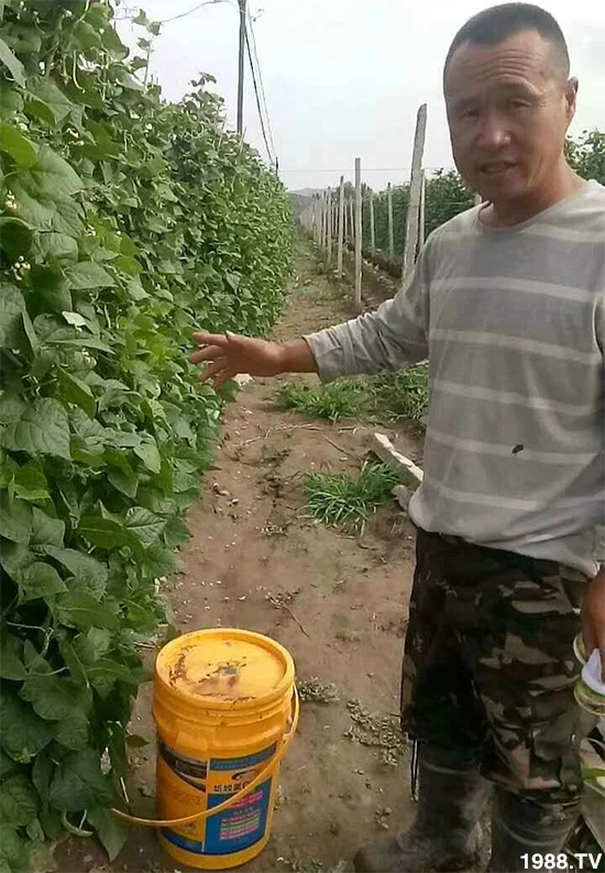 水溶肥市場(chǎng)大變革?。亢Ｔ寰?、魚蛋白將被它代替！1000多用戶鼎力推薦！