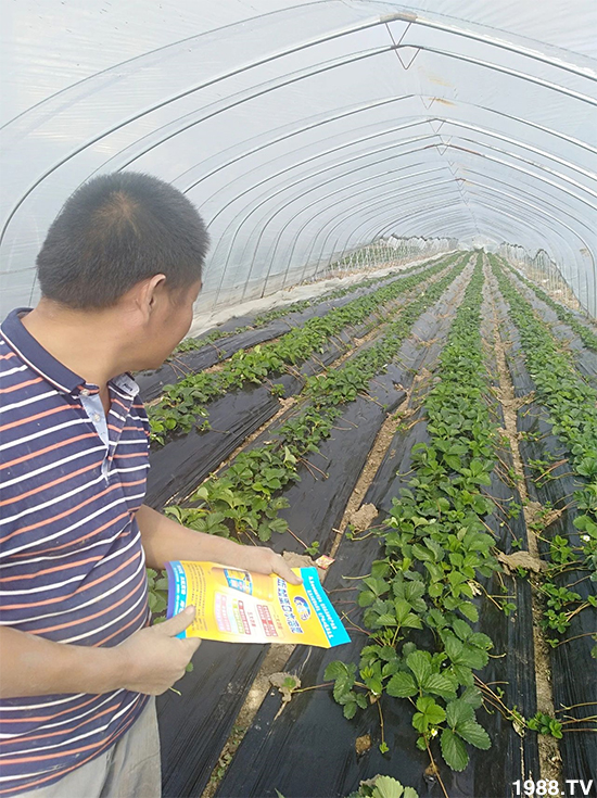 水溶肥市場(chǎng)大變革??？海藻精、魚蛋白將被它代替！1000多用戶鼎力推薦！