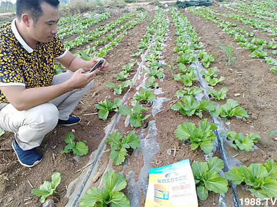 水溶肥市場(chǎng)大變革??？海藻精、魚蛋白將被它代替！1000多用戶鼎力推薦！