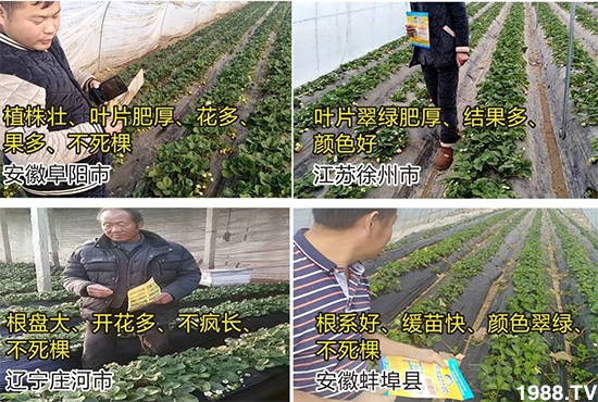 水溶肥市場(chǎng)大變革??？海藻精、魚蛋白將被它代替！1000多用戶鼎力推薦！