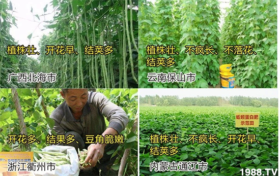 水溶肥市場(chǎng)大變革??？海藻精、魚蛋白將被它代替！1000多用戶鼎力推薦！
