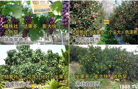 水溶肥市場(chǎng)大變革??？海藻精、魚蛋白將被它代替！1000多用戶鼎力推薦！