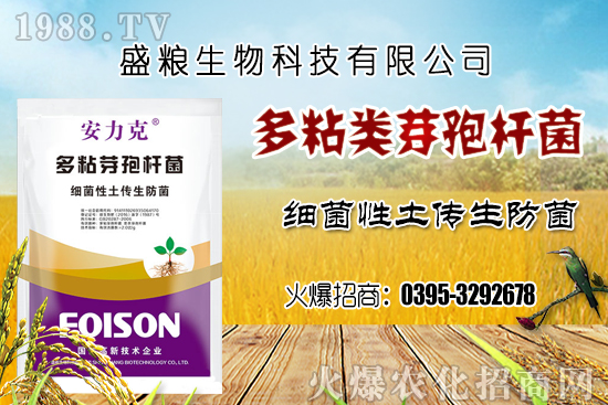 車?yán)遄臃N植環(huán)境要求有哪幾點(diǎn)？車?yán)遄恿挤N選擇及良種套種！