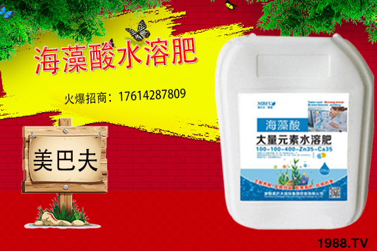 海藻肥具有哪些作用？與傳統(tǒng)肥料相比有何優(yōu)勢？